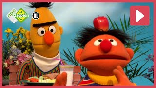 15 MINUTEN BERT amp ERNIE  Sesamstraat  NPO Zappelin [upl. by Eittocs390]