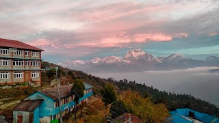 GHOREPANI Annapurna Circuit Tea House  HOTEL DHAULAGIRI amp RESTAURANT Day 24 [upl. by Besse418]