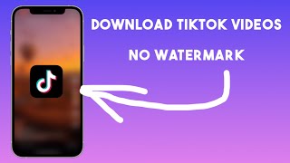 How to Download TikTok Videos Without Watermark for FREE No Apps Needed [upl. by Anegue]