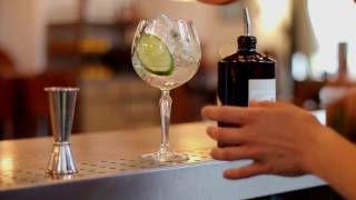 Hendricks Perfect Serve Gin amp Tonic [upl. by Hanoy]