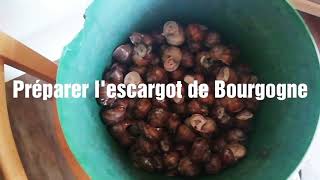 Recette de lescargot de bourgogne [upl. by Hairej]