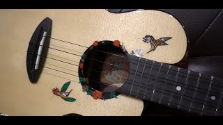 The AnueNue UT200HB Hummingbird Tenor Ukulele [upl. by Mayman]