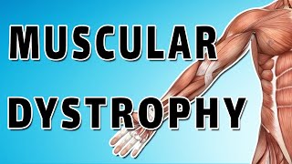 Muscular Dystrophy [upl. by Anialem]