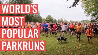 The MOST POPULAR parkruns In The WORLD [upl. by Alolomo]