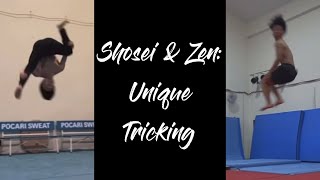 Shosei amp Zen Unique Tricking IG Compilation [upl. by Joela]