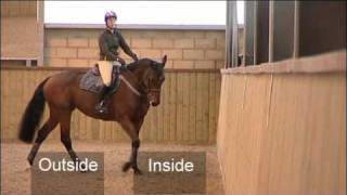 Flatwork Training for Showjumping [upl. by Acirt446]