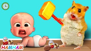 Baby Boss Is Sick Hamster MiMi Take Care Of Baby Hamster Cartoon [upl. by Eikkin]