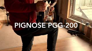 Pignose Travel Guitar PGG200 [upl. by Cas]