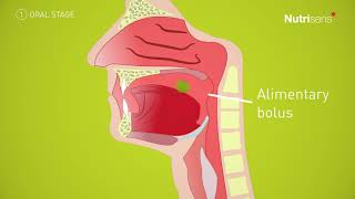 Dysphagia  What is swallowing [upl. by Jud]