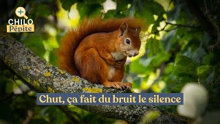 Film  Le Chêne  Chut ça fait du bruit le silence🌳 [upl. by Clements]