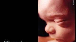 Prolife AntiAbortion Video Development of the Unborn Baby [upl. by Kries]