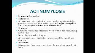 Actinomycosislumpy jaw [upl. by Runkle]