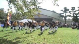 北里大学獣医学部 第24回 紅葉祭2009 [upl. by Edra]