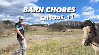 HORSE ESCAPEDED I CANT BELIEVE IT BARN CHORES EP11 [upl. by Trev]