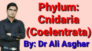 Phylum Cnidaria Coelenterata in HindiUrdu Lecture 6 Kingdom Animalia [upl. by Hagood]