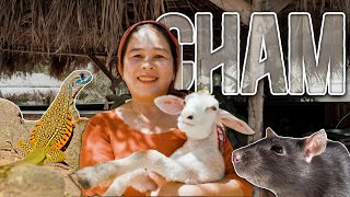 Forgotten Cuisine The Extreme Diet of Vietnam’s Cham People [upl. by Ajile]