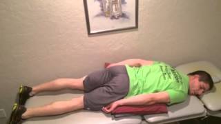 Core Exercises Prone Multifidus Activation [upl. by Jara]