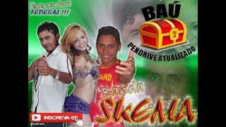 Banda Skema  Baú Do PenDrive Atualizado [upl. by Sharl931]