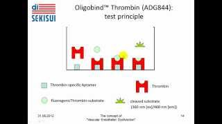 Vascular Dysfunction and Thrombin Generation [upl. by Leboff]