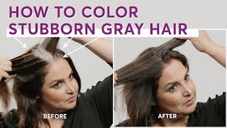 How to Color Stubborn Gray Hair [upl. by Mcmath222]