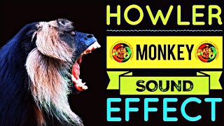 Howler Monkeys Sound Effect  Wild Howlers Monkey Animal Sounds  Royalty Free Sample [upl. by Francois957]