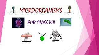 BACTERIA TYPES AND SHAPES [upl. by Helprin]