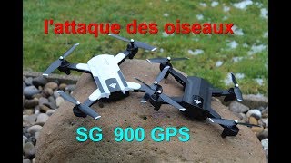 SG 900 GPS REVIEW  TEST  VOL ATTAQUE DES OISEAUX [upl. by Yalahs]