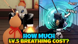 Getting Level 5 Breathing amp How Much It Cost Project Slayers Update 1 [upl. by Yentuoc]