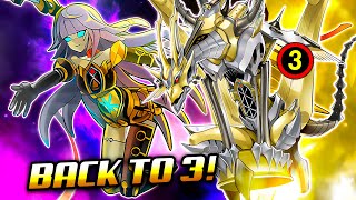 TRIPLE HARP❗ ORCUST HORUS Deck 🎷  Post APRIL 2024 BANLIST 🚫 Exordio [upl. by Darreg]