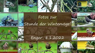 Stunde der Wintervögel [upl. by Nohsal]