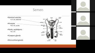 The Evaluation and Management of an Azoospermic Male [upl. by Limoli]