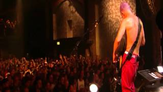 Red Hot Chili Peppers  Look Around  Live in Köln 2011 HD [upl. by Lednew14]