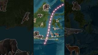 Why Animals Don’t Cross This Invisible Border 🚧 Wallace Line 😱 [upl. by Phillipe296]