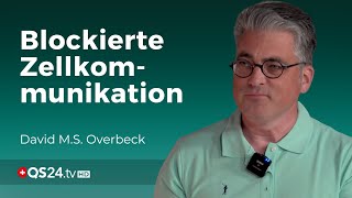 Wie Überforderung die Zellkommunikation blockieren kann  Forscher David MS Overbeck  QS24 [upl. by Seek]