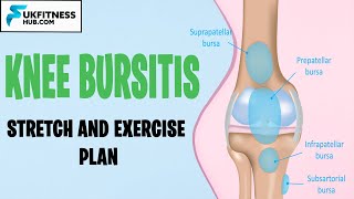 Knee Bursitis Stretches and Exercises Plan Pes Anserine Prepatellar Suprapatellar Infrapatellar [upl. by Der412]