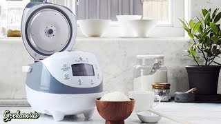 Yum Asia Panda Mini Rice Cooker Review [upl. by Aicire270]