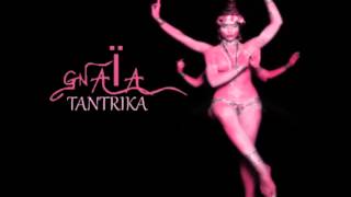 GNAÏA  Tantrika sitar by Naure SaÏd [upl. by Nnep]