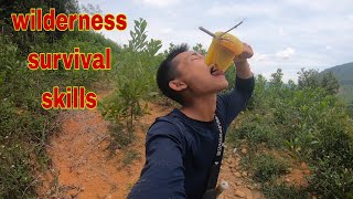 wilderness survival skills videos collecting wild honey [upl. by Ymmaj]