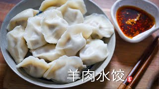 羊肉水饺 Lamb Dumplings 如何把饺子做好 [upl. by Tiebold673]