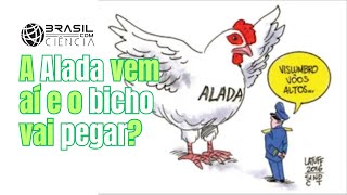 BCC246  Alada vem aí para virar o jogo [upl. by Aneleiram239]