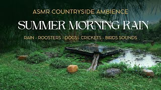 ASMR Countryside Ambience  Summer Morning Rain  Crickets  Birds  Roosters  Rain Sounds [upl. by Anilad]