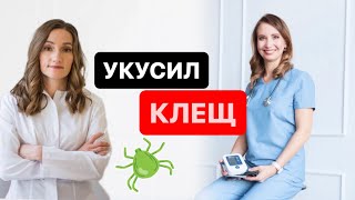 Укусил клещ Что делать и как лечиться Врачинфекционист отвечает на вопросы [upl. by Imeka830]