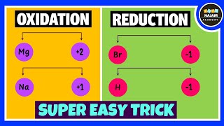 Oxidation and Reduction Reactions [upl. by Cranston520]