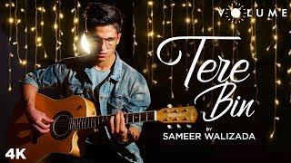 Tere Bin By Sameer Walizada  Bas Ek Pal  Mithoon  Bollywood Cover Songs  Unplugged Songs [upl. by Etnoed]