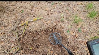 WOW CE MONEDĂ 😱 EPOCA ROMANA  MONEDE ROMÂNEȘTI metaldetecting detectiemetale romania [upl. by Xymenes]