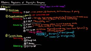 Glycolysis Part 3 of 3  Allosteric Regulation [upl. by Islaen]