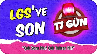 LGSye SON 17 GÜN 💥 Çok Soru Mu Çok Tekrar Mı 🤔 [upl. by Lletram]