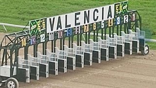 Pronósticos para este Sábado en Valencia cortesía de los Cronometros de Javier Flores [upl. by Ecienahs154]