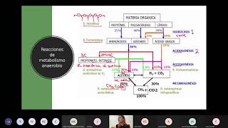 Digestión anaerobia y Desnitrificación [upl. by Aihsyt398]