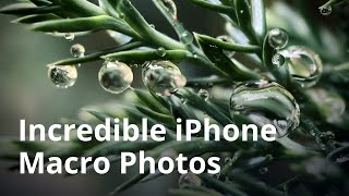 How To Take Incredible Macro Photos With Your iPhone [upl. by Anawd276]